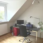 3 room apartment in Schaffhausen, furnished, temporary