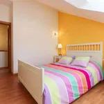 Rent a room in lisbon