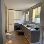 Rent 2 bedroom apartment of 50 m² in Torino