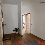 Rent 5 bedroom apartment of 10 m² in Roma