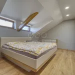 Pronajměte si 1 ložnic/e dům o rozloze 268 m² v Pilsen