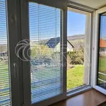 Rent 5 bedroom apartment of 130 m² in Nižbor