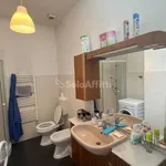 Rent 2 bedroom apartment of 60 m² in Torino