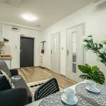 Rent 2 bedroom apartment of 25 m² in Łódź