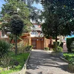 Rent 3 bedroom apartment of 100 m² in Roma