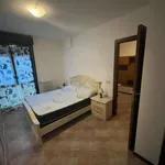 Rent 2 bedroom apartment of 40 m² in Rome