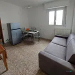 Rent 1 bedroom apartment of 50 m² in Cologno Monzese