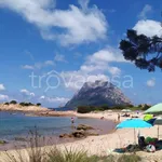 Rent 2 bedroom apartment of 50 m² in Olbia