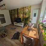Rent 1 bedroom apartment of 62 m² in Dortmund