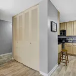 Rent 1 bedroom apartment of 70 m² in Minneapolis