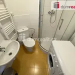 Rent 1 bedroom apartment in Prague