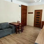 Rent 1 bedroom apartment of 26 m² in Poznan