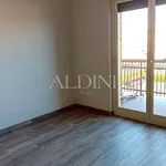 Rent 5 bedroom apartment of 200 m² in Catania