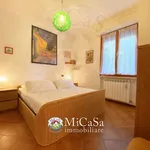 Rent 3 bedroom apartment of 65 m² in Pisa