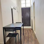 Rent 1 bedroom apartment in Brno