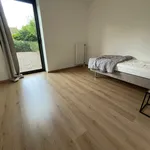 Rent 1 bedroom apartment in HOOGSTRATEN