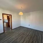 Rent 1 bedroom apartment in Pilsen