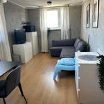 Rent 2 bedroom apartment of 43 m² in Poznan