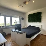 Huur 2 slaapkamer appartement in Antwerp