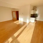 Rent 1 bedroom apartment in Třebíč