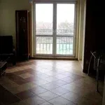 Rent 2 bedroom apartment of 44 m² in Poznan