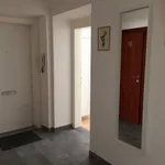 Rent 1 bedroom apartment in Graz