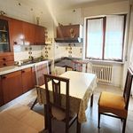 Rent 5 bedroom apartment of 140 m² in Campobasso