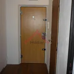 Rent 1 bedroom apartment in Pardubice