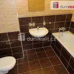 Rent 1 bedroom apartment of 36 m² in Prague