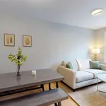 Rent 1 bedroom apartment in New York