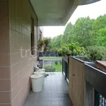 Rent 3 bedroom apartment of 120 m² in Segrate