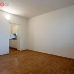 Rent 1 bedroom apartment of 20 m² in Brno