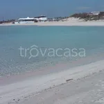 Rent 4 bedroom apartment of 110 m² in Porto Cesareo