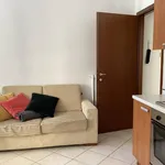 Rent 1 bedroom apartment of 35 m² in Turin