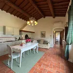 Rent 2 bedroom apartment of 60 m² in Scandicci