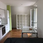 Rent 1 bedroom apartment of 45 m² in Torino