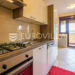 Rent 2 bedroom apartment of 80 m² in Zagreb