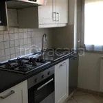 Rent 2 bedroom apartment of 60 m² in Varese