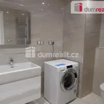 Rent 2 bedroom apartment of 62 m² in Praha