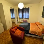 2-room flat via Roma 3, Airali, Luserna San Giovanni