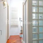 Rent 1 bedroom apartment of 45 m² in Turin