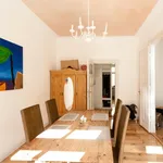 Rent 1 bedroom apartment in Berlin