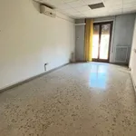 Affitto 13 camera appartamento di 500 m² in Frosinone