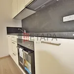 Rent 2 bedroom apartment of 90 m² in České Budějovice