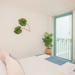 Rent 1 bedroom apartment in Porto