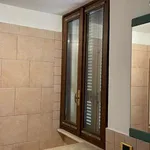 Rent 1 bedroom apartment in milan