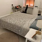 Rent 2 bedroom apartment of 60 m² in Torino