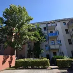 Rent 2 bedroom apartment of 52 m² in Chemnitz