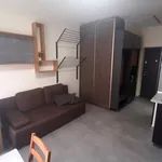 Rent 1 bedroom apartment of 18 m² in Włocławek