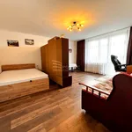 Rent 2 bedroom apartment of 36 m² in Chełm